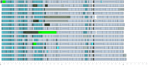Build using schedule optimization - click to view full size